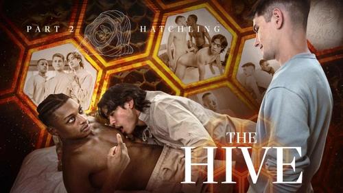 Trevor Harris, Ty Santana & Jay Wu – The Hive Part 2- Hatchling